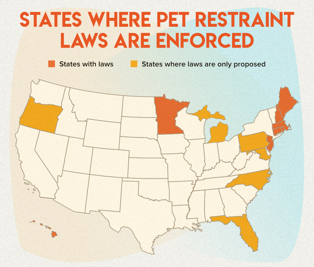 What States Regulate Pet Restraints? 4802461930 In the midst of the