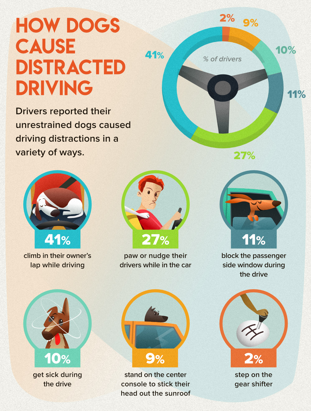 How Dogs Contribute to Distracted Driving - 480-246-1930 In the midst ...